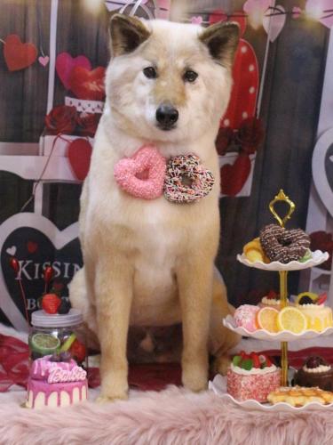 20250211れんくん